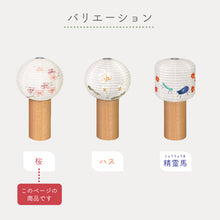 画像をギャラリービューアに読み込む, tocco