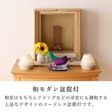 画像をギャラリービューアに読み込む, エクレレ(ピンク/グリーン/ホワイト/ブルー/イエロー)