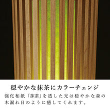 画像をギャラリービューアに読み込む, トレンタ