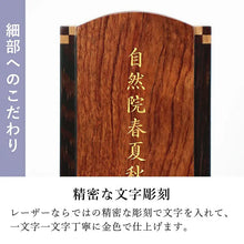 画像をギャラリービューアに読み込む, マッキンリー