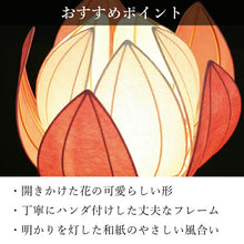 画像をギャラリービューアに読み込む, はなあかり