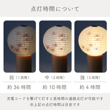 画像をギャラリービューアに読み込む, tocco 桜 盆提灯