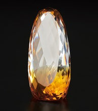 画像をギャラリービューアに読み込む, エリプス アンバー