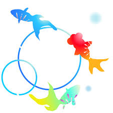 岡山市新庁舎のこと