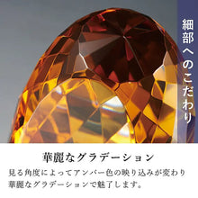 画像をギャラリービューアに読み込む, エリプス アンバー
