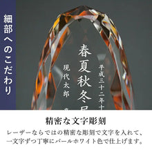 画像をギャラリービューアに読み込む, エリプス アンバー
