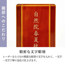 画像をギャラリービューアに読み込む, レグルス
