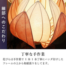 画像をギャラリービューアに読み込む, はなあかり
